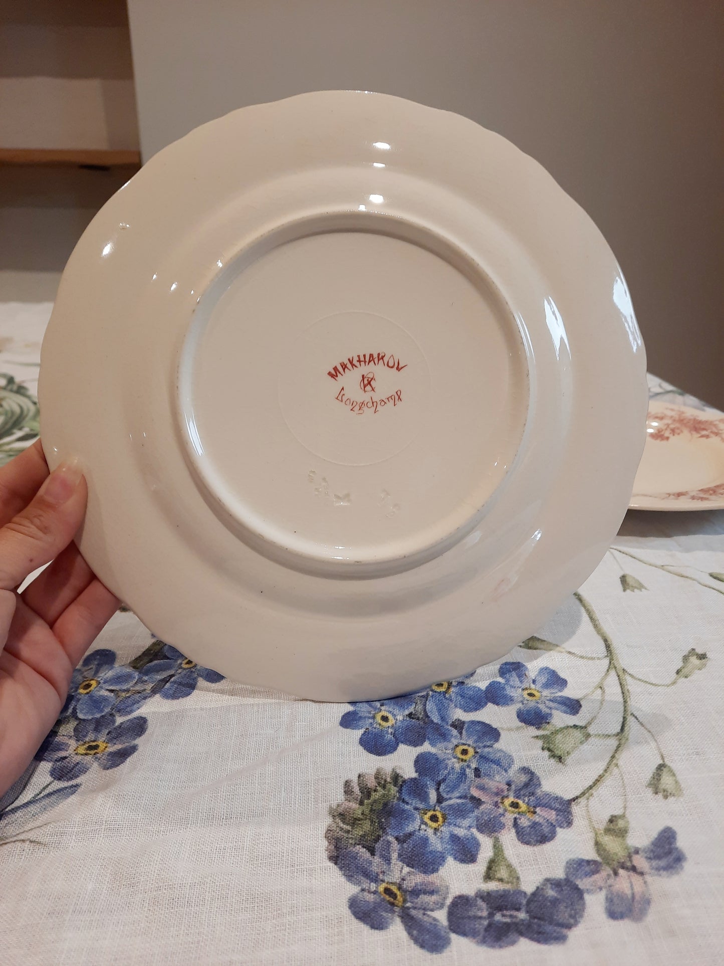 6 assiettes plates (1)