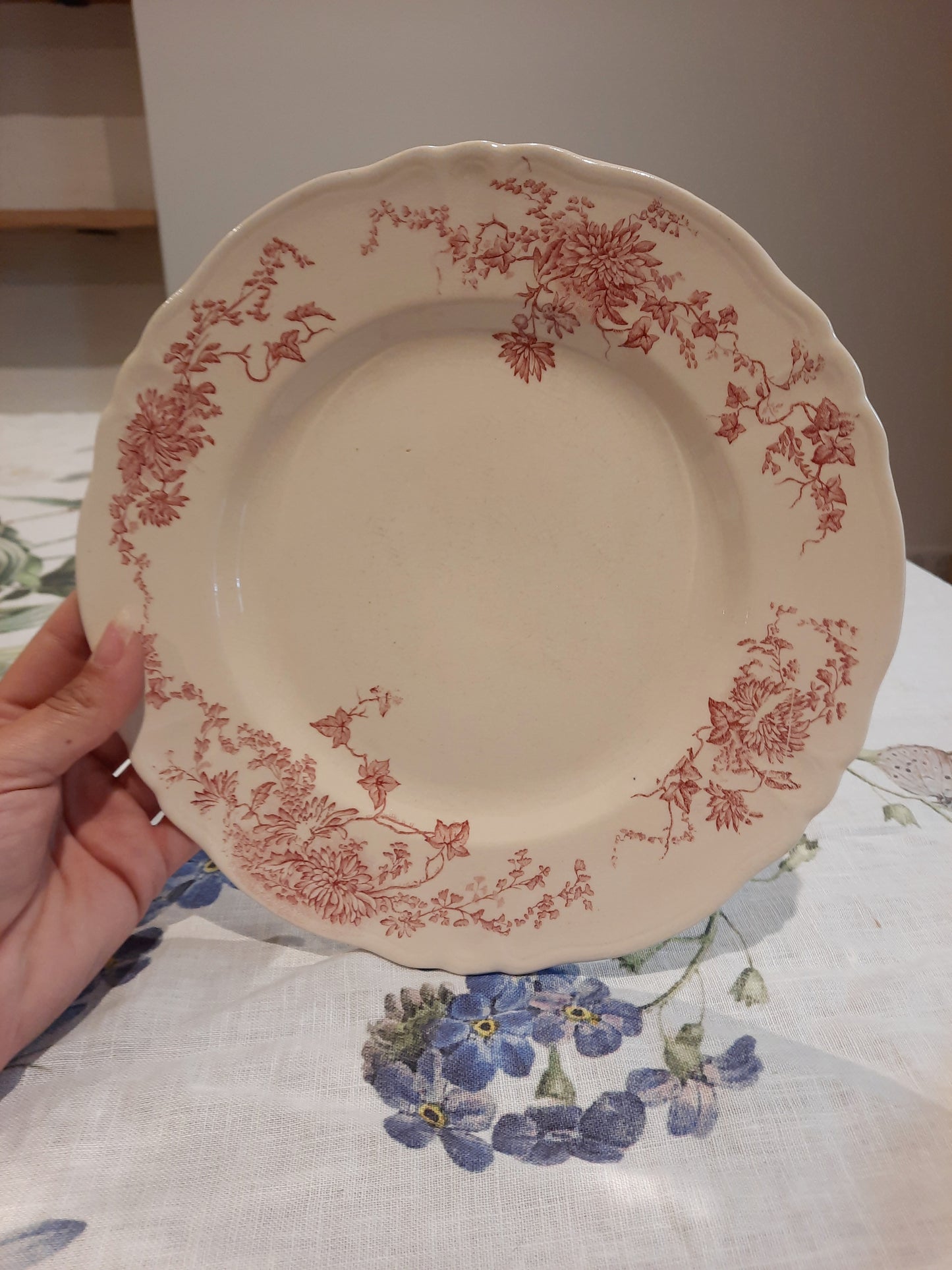 6 assiettes plates (1)