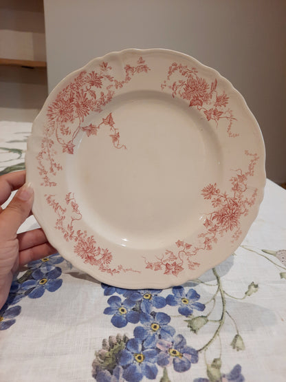 6 assiettes plates (1)