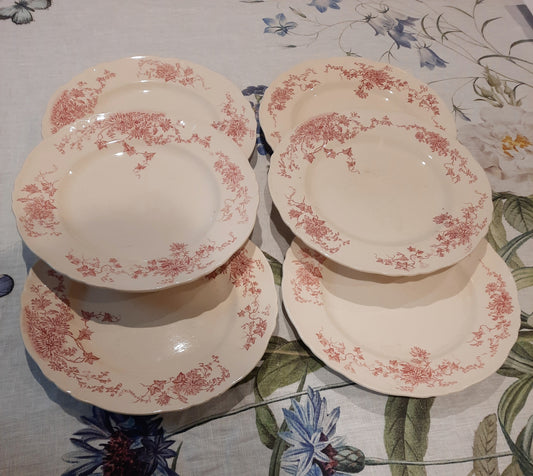 6 assiettes plates (2)