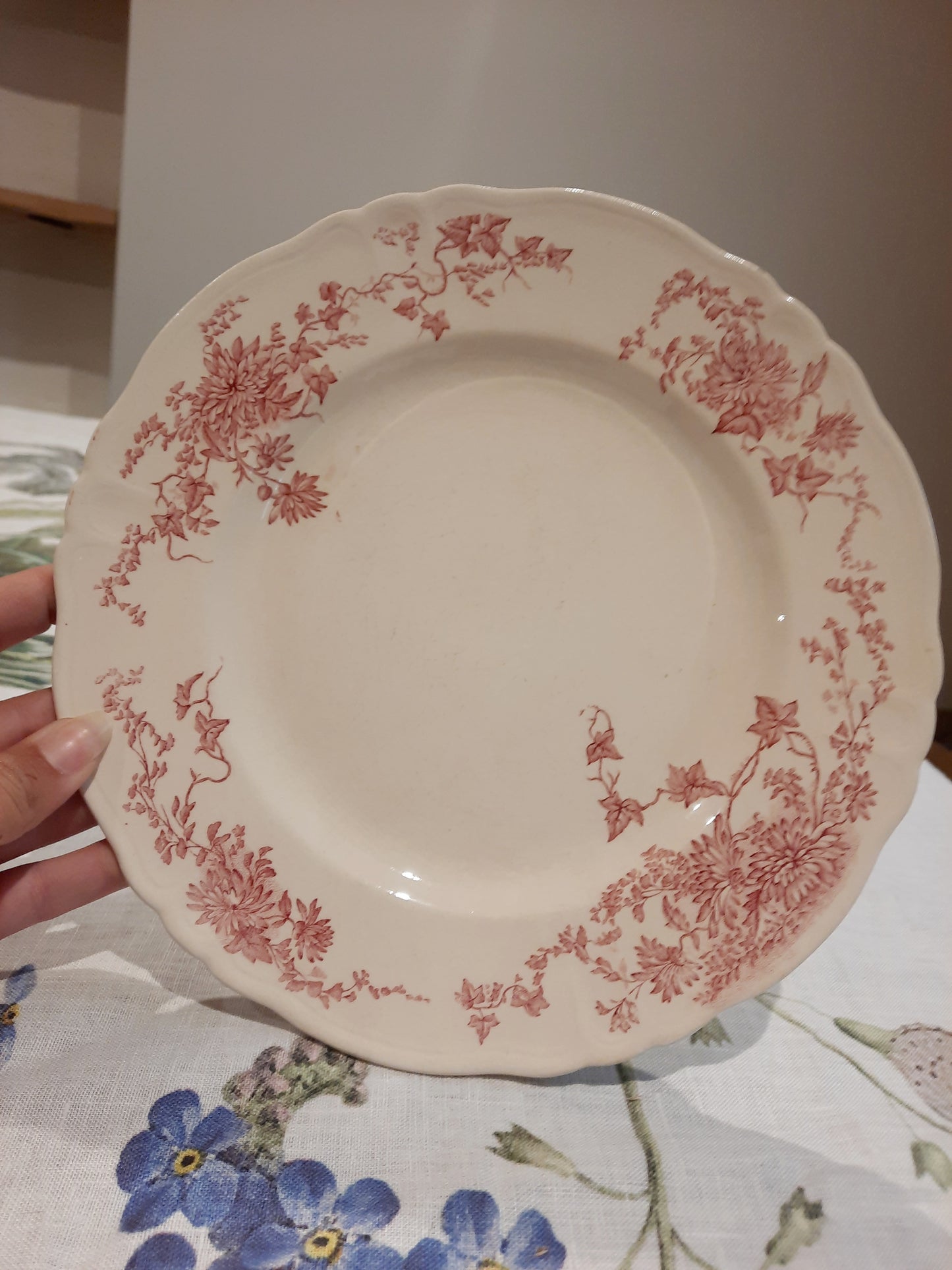 6 assiettes plates (2)