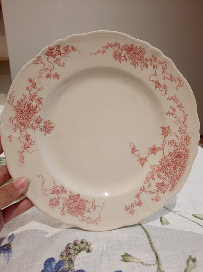 6 assiettes plates (2)