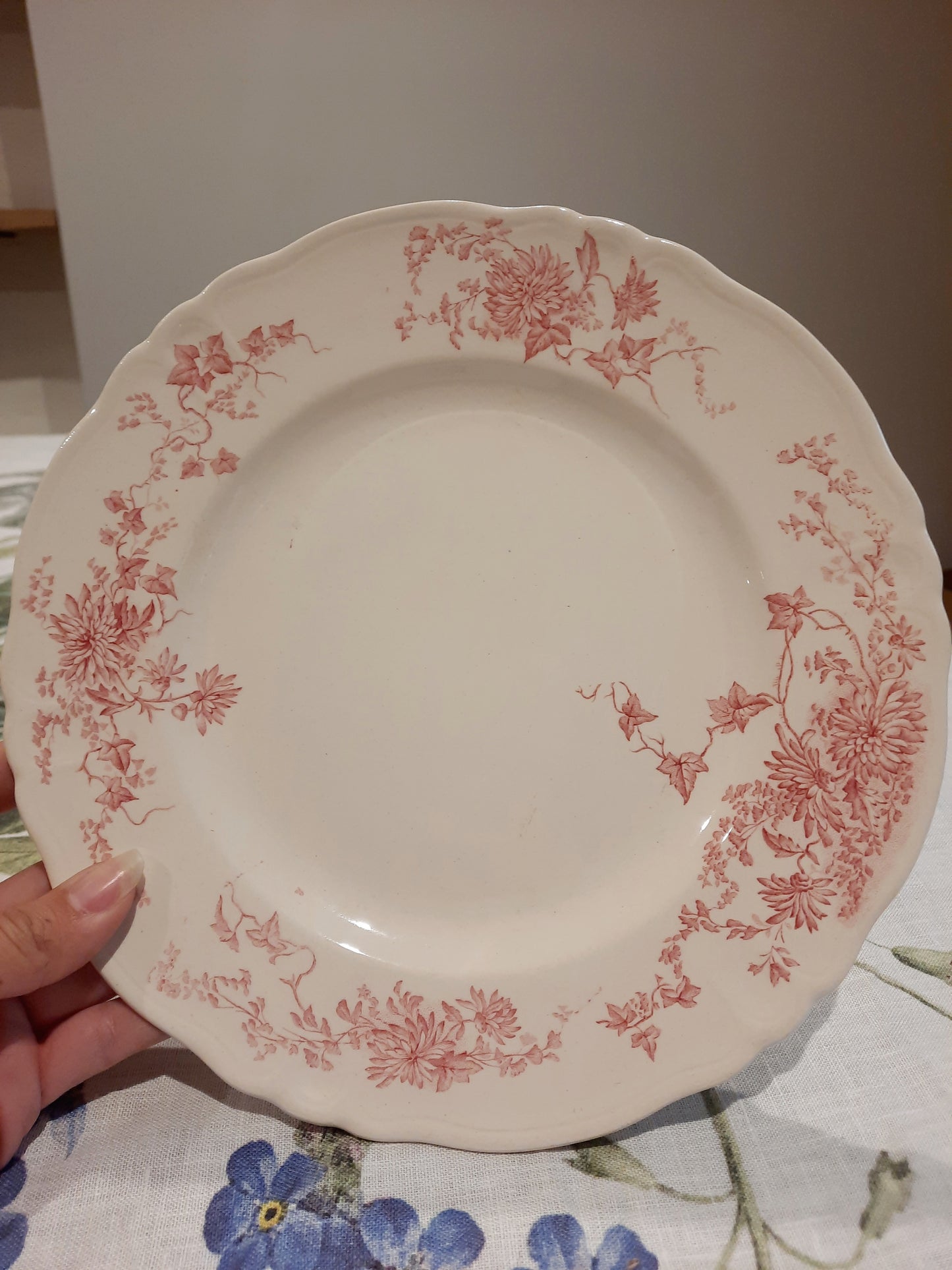 6 assiettes plates (2)