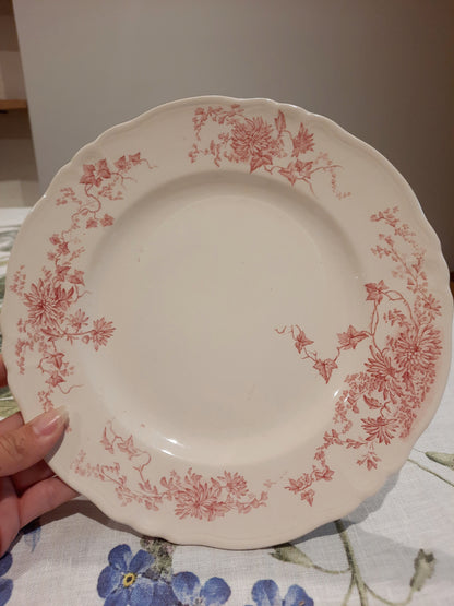 6 assiettes plates (2)