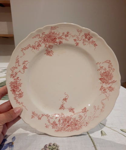 6 assiettes plates (2)
