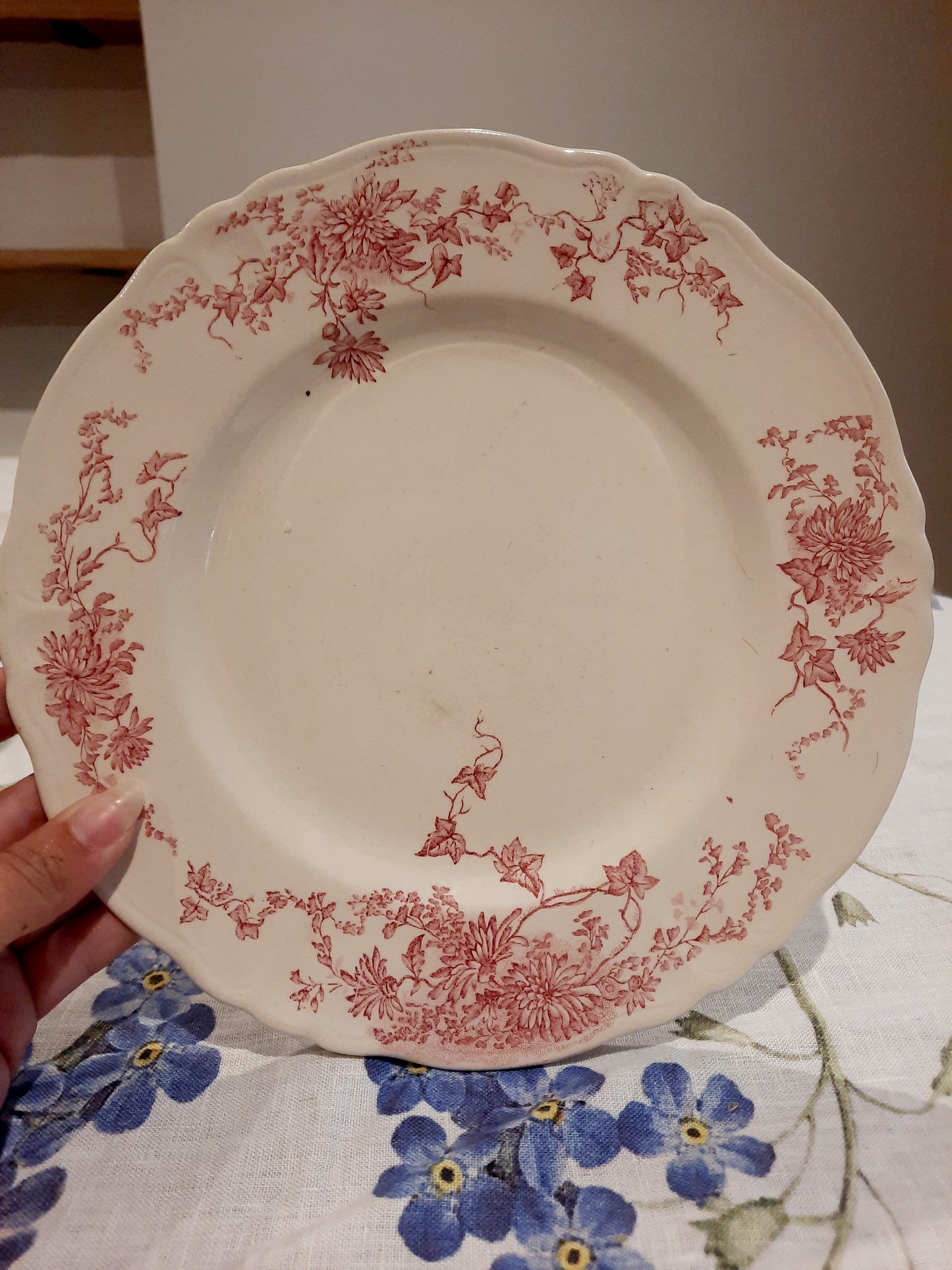 6 assiettes plates (2)