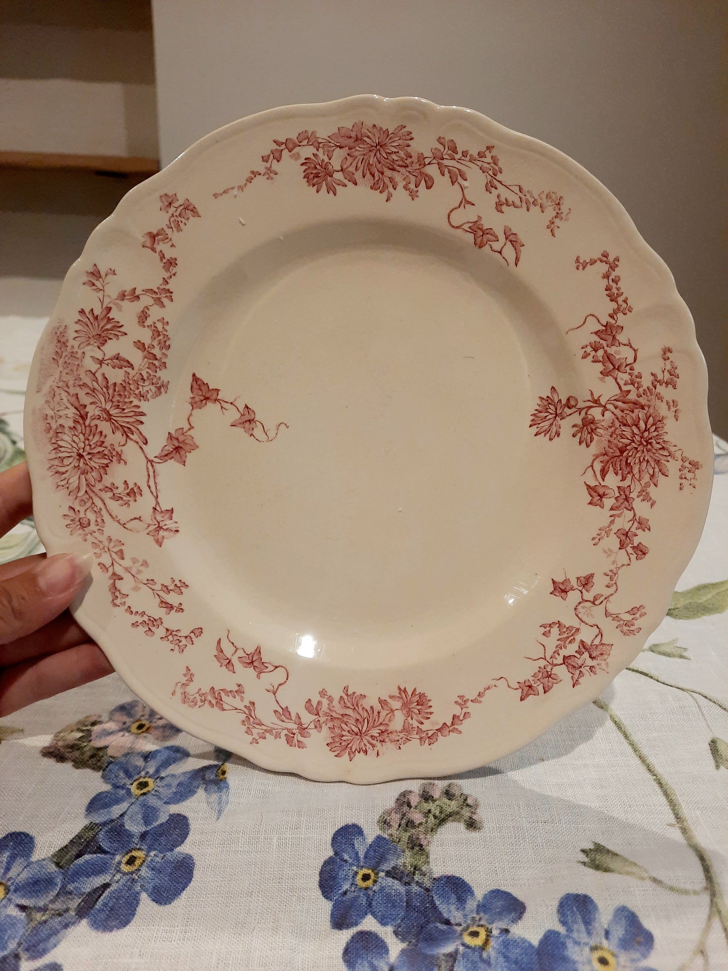 6 assiettes plates (2)