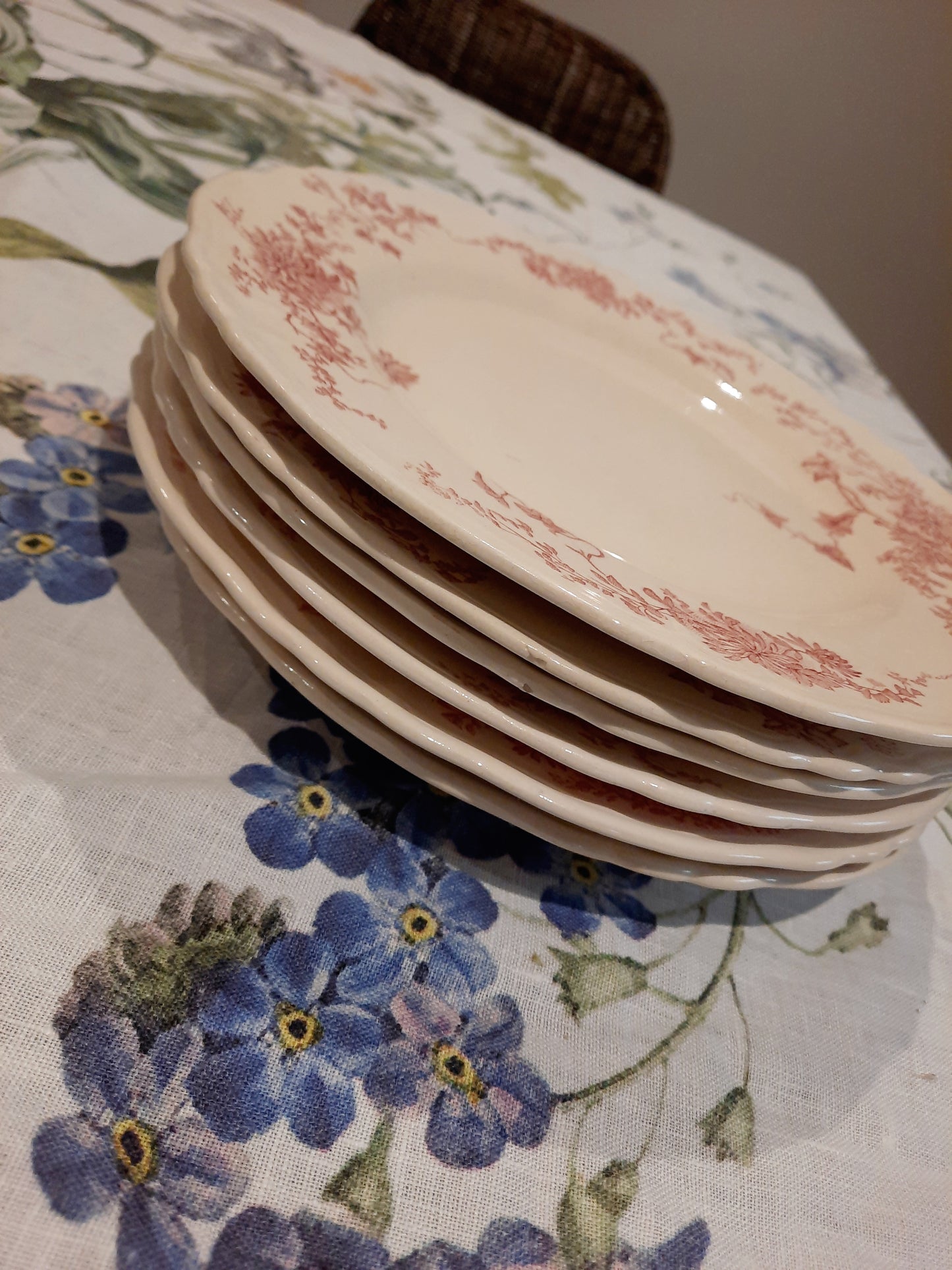 6 assiettes plates (2)