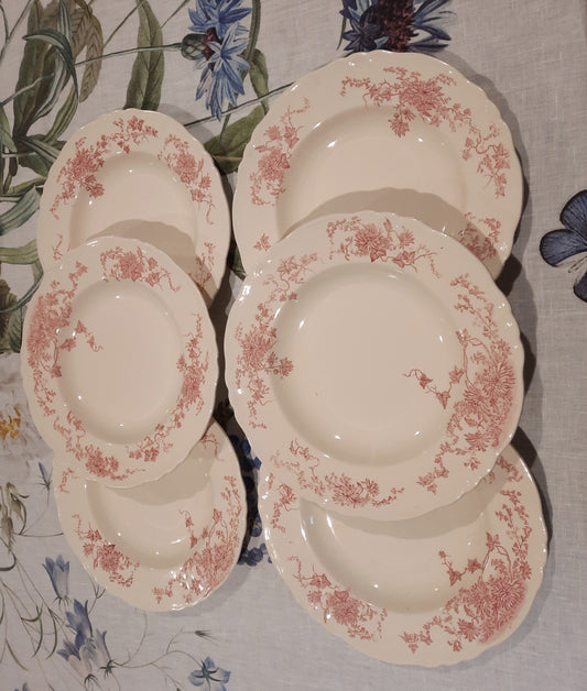 6 assiettes creuses