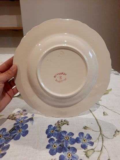 6 assiettes creuses