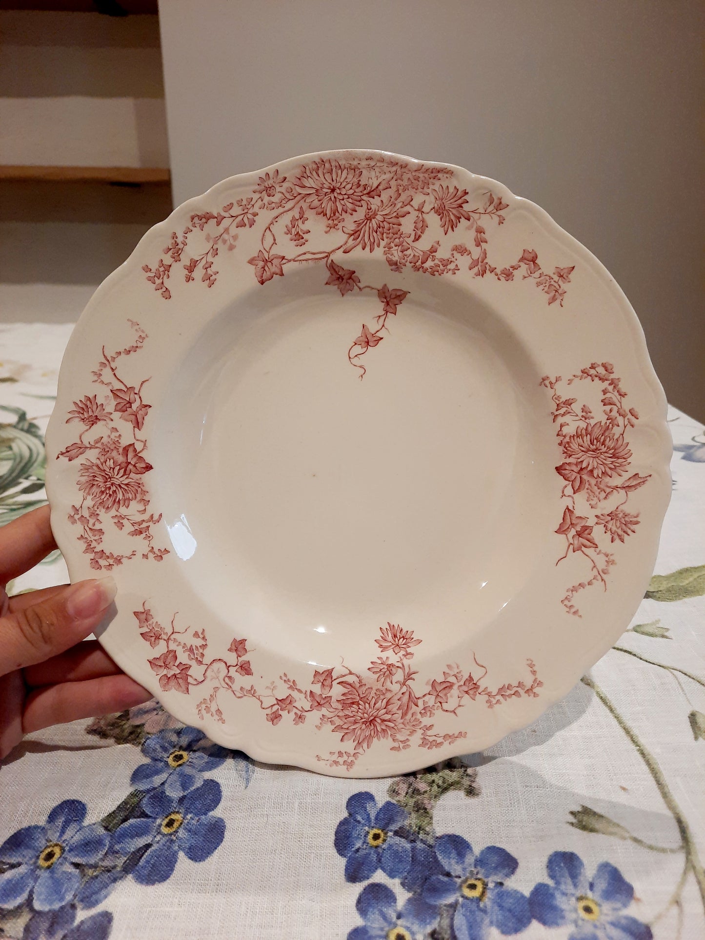 6 assiettes creuses