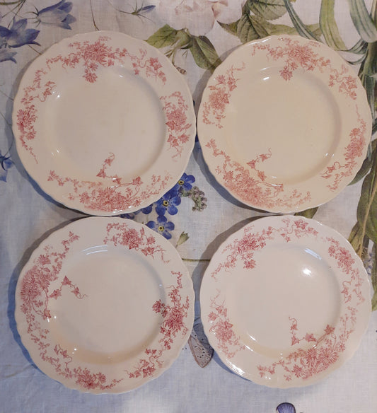 4 assiettes plates (1)