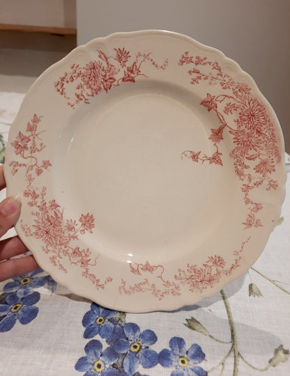 1 assiette plate (1)