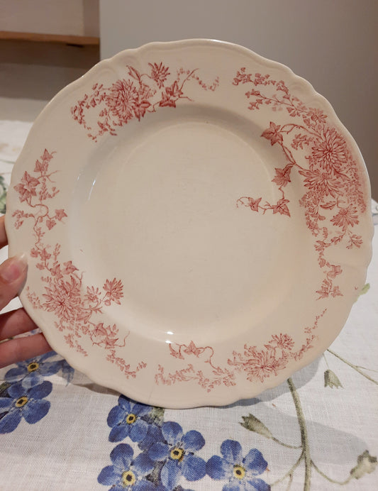 1 assiette plate (1)