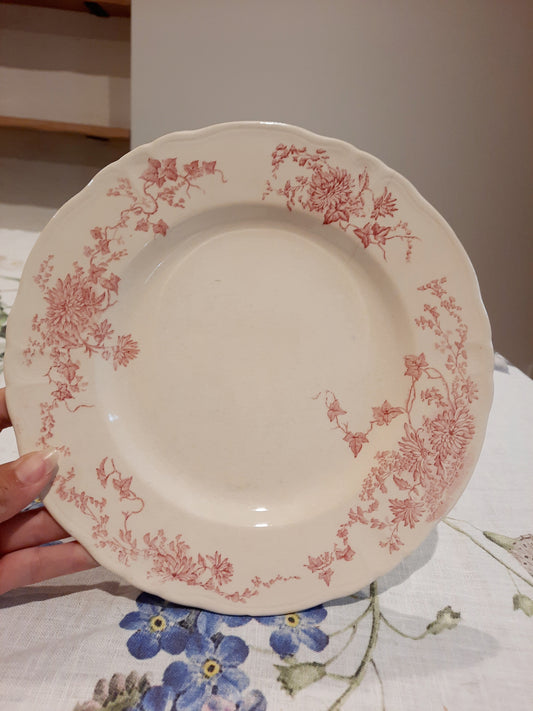 1 assiette plate (2)
