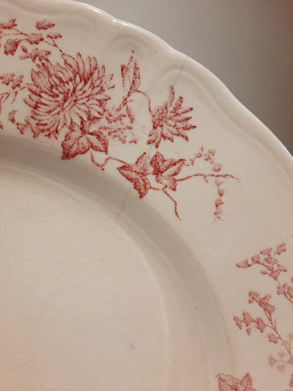 1 assiette plate (2)