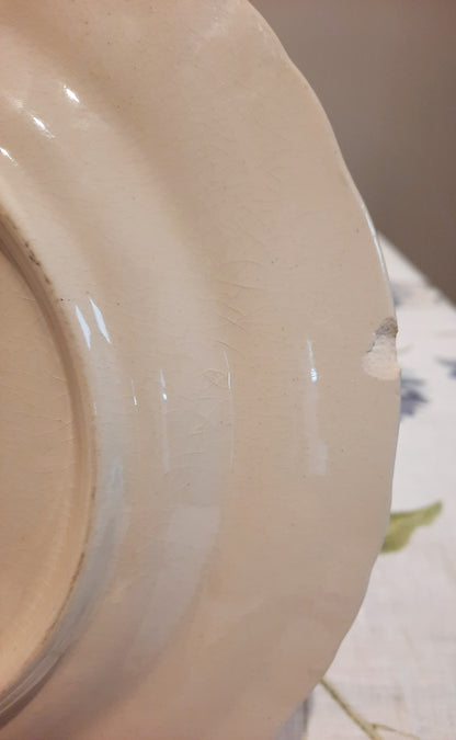1 assiette plate (2)