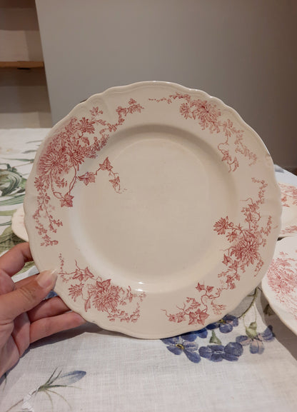 4 assiettes plates (2)
