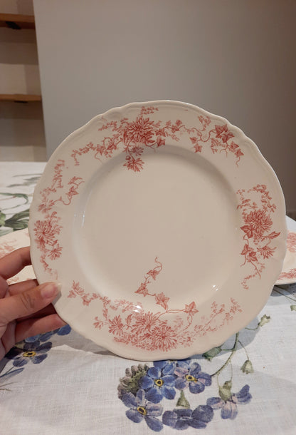 4 assiettes plates (2)