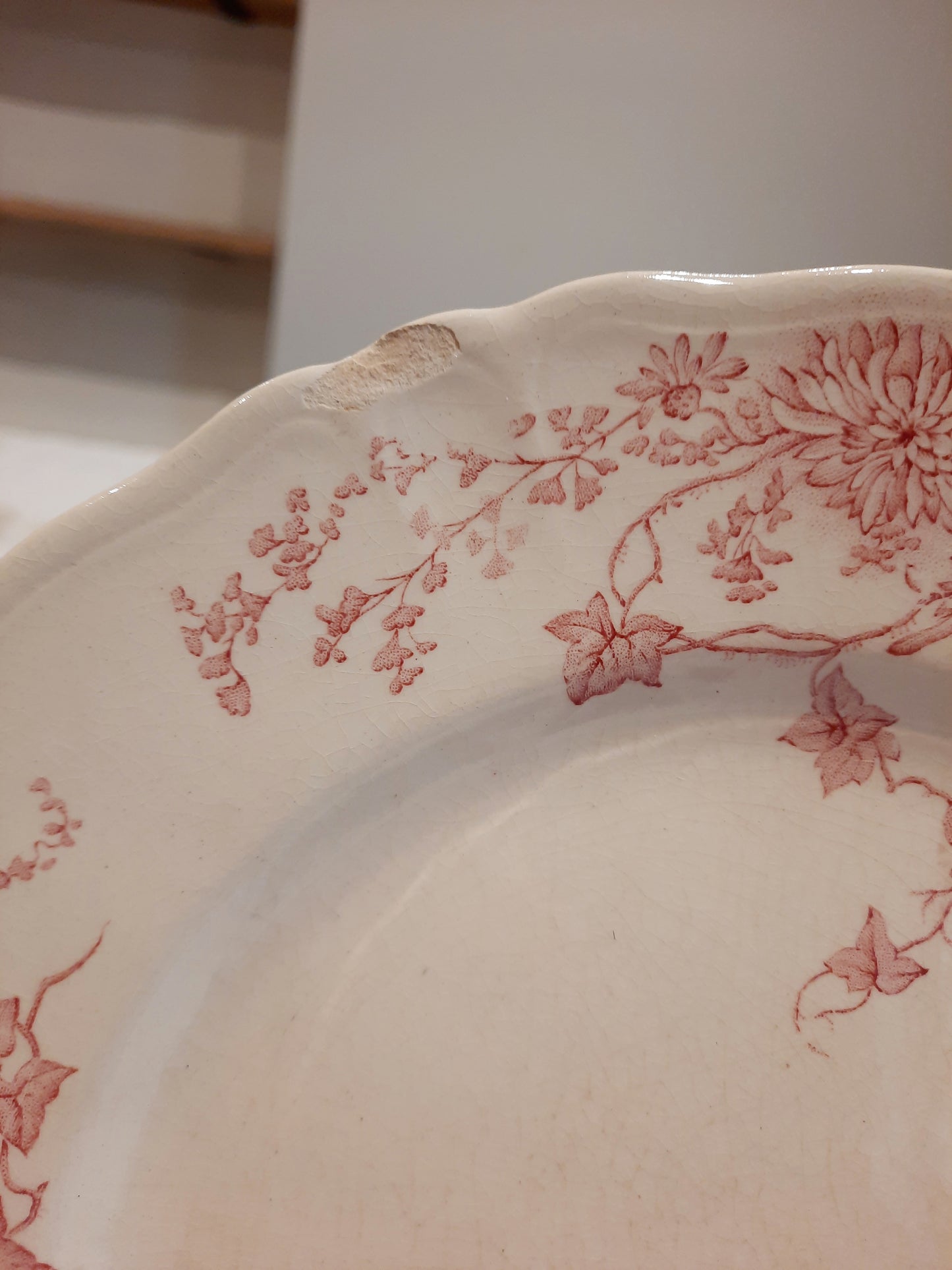 4 assiettes plates (2)