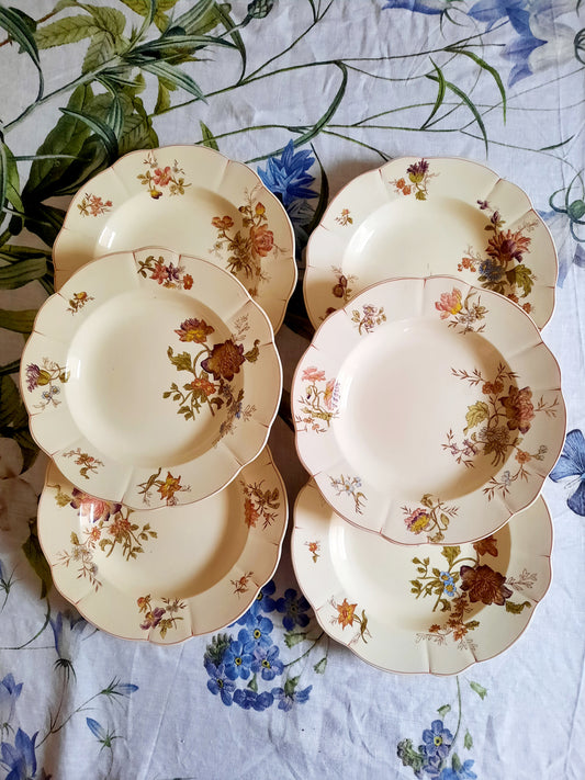 Lot de 6 assiettes creuses Longchamp