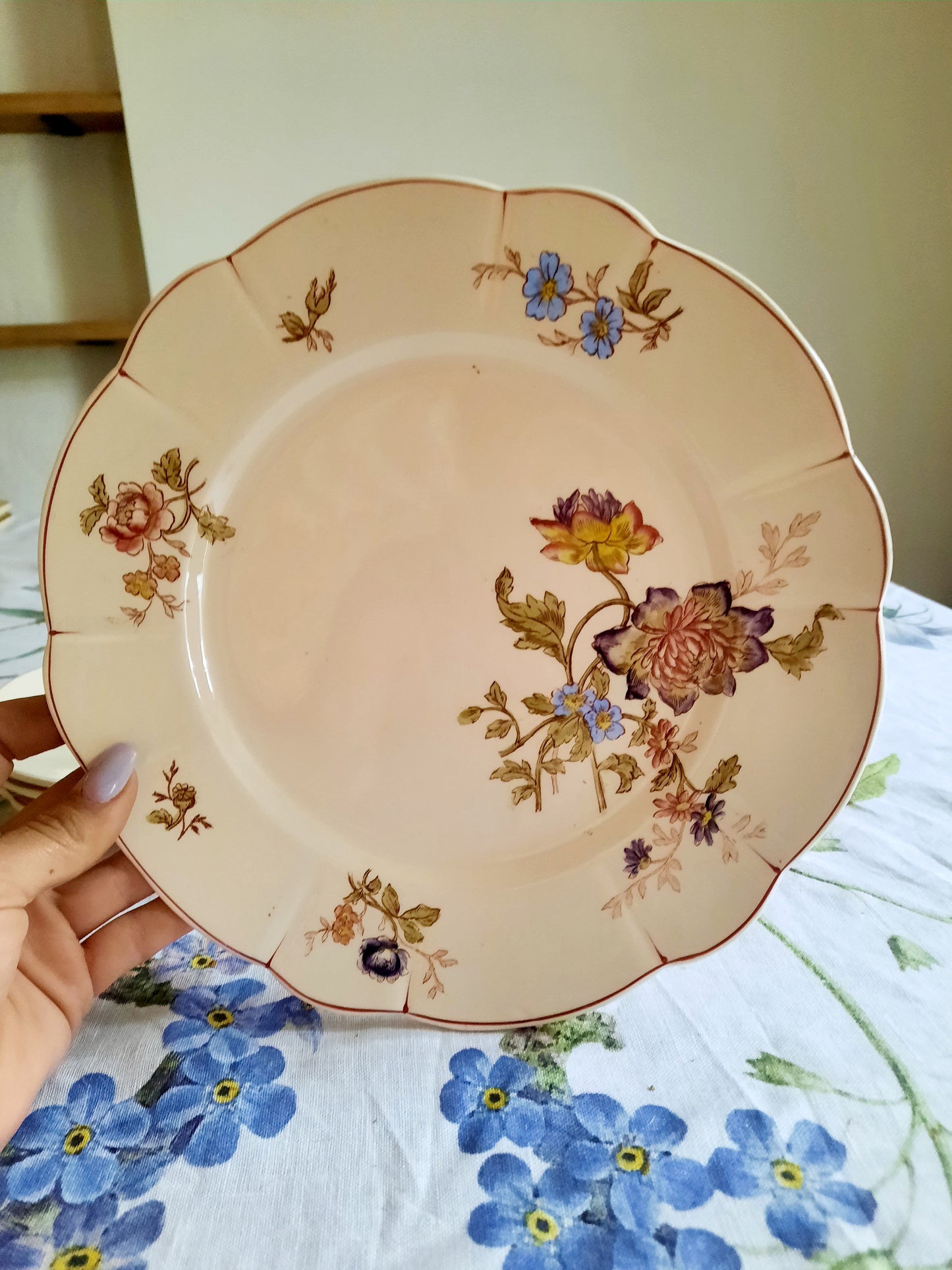 Lot de 6 assiettes plates Longchamp (2)