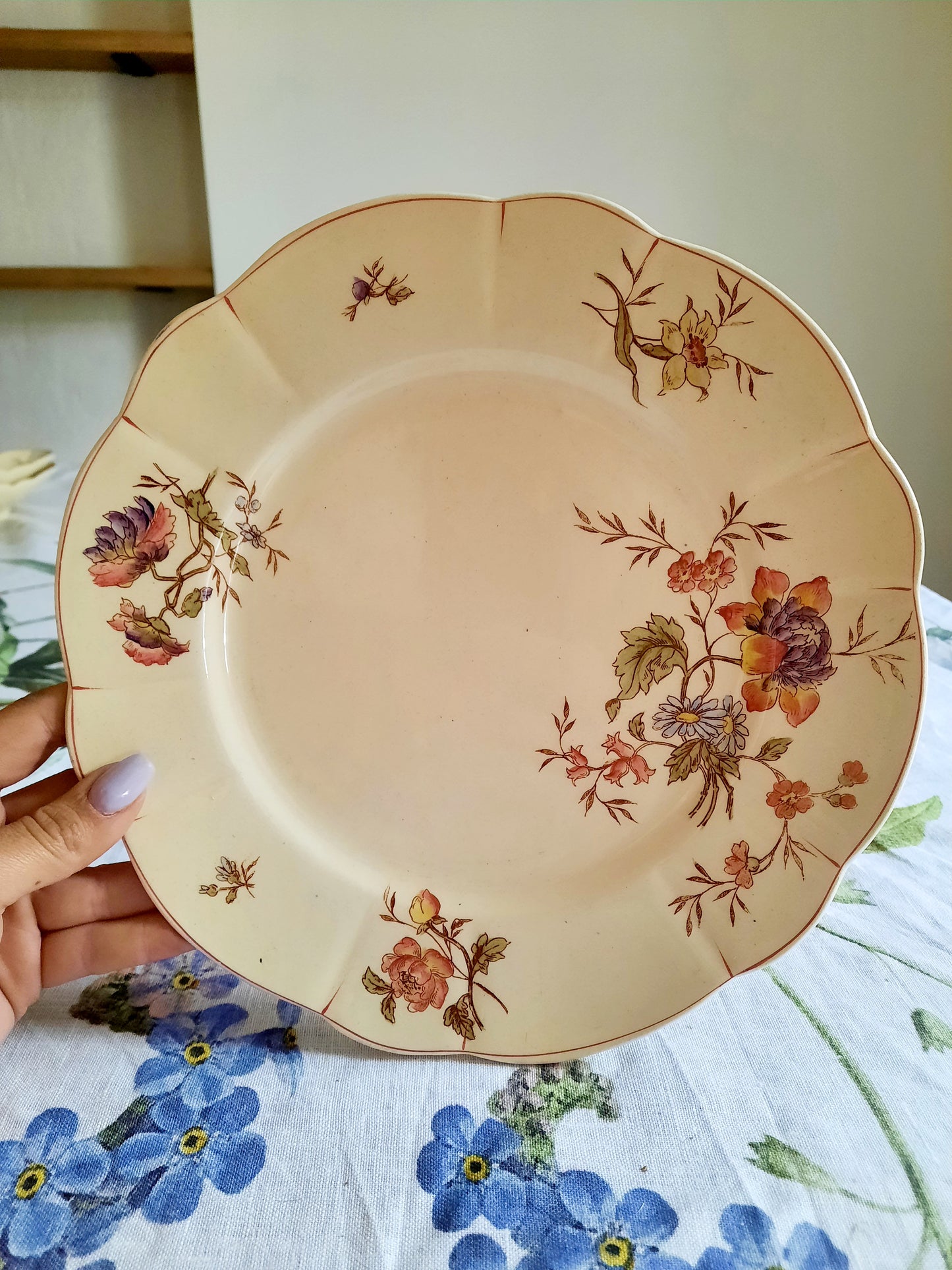 Lot de 6 assiettes plates Longchamp (2)