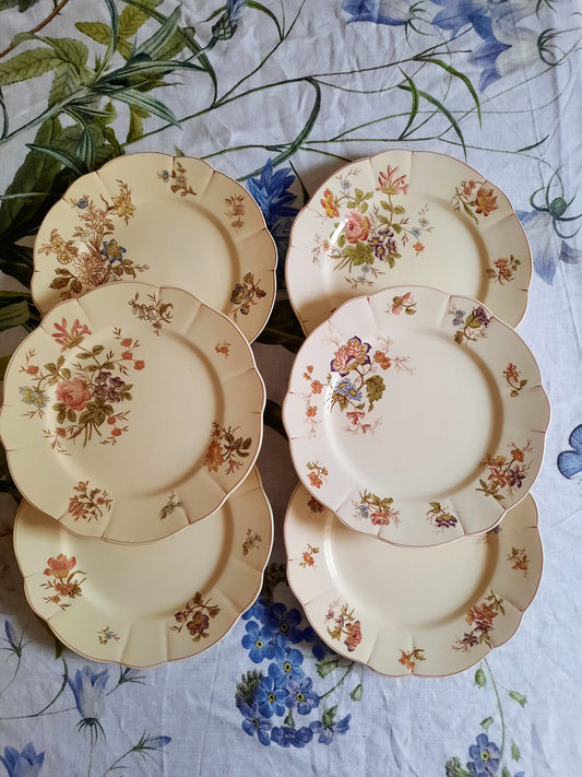 Lot de 6 assiettes plates Longchamp (1)