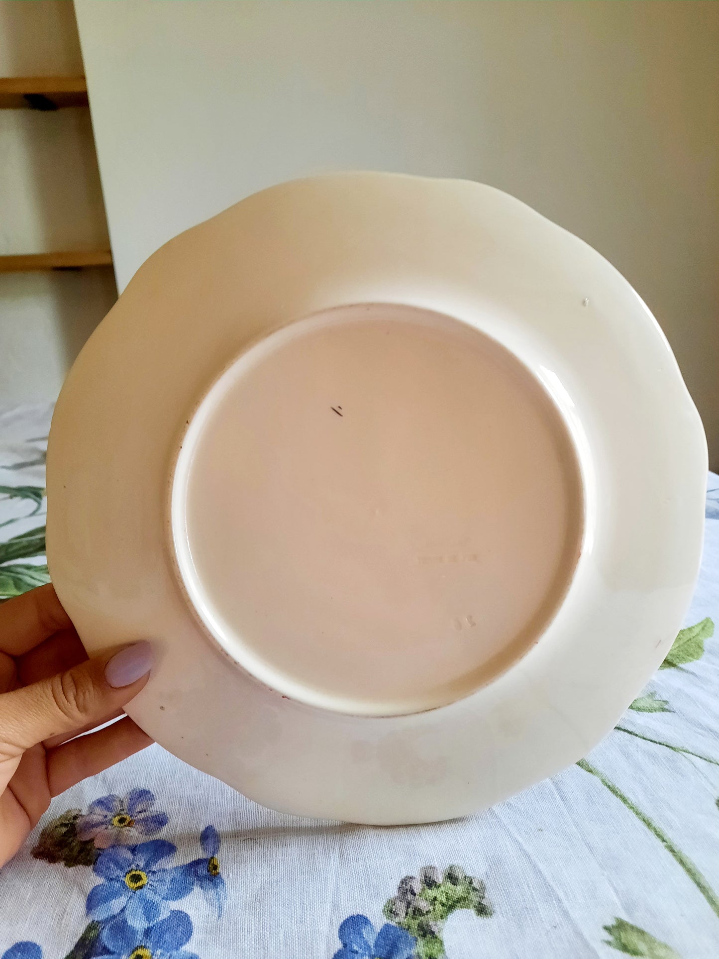 Lot de 6 assiettes plates Longchamp (1)