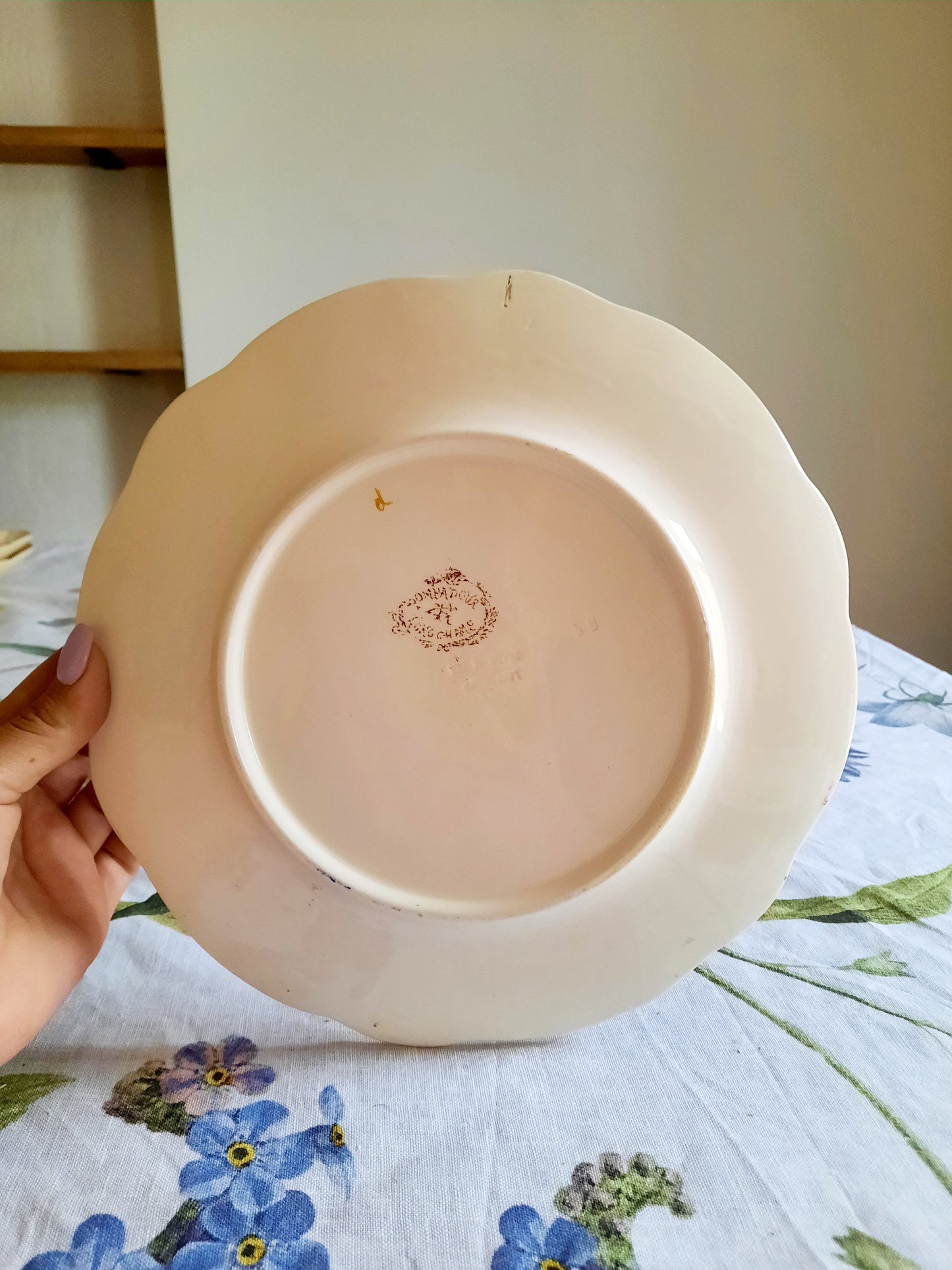 Lot de 6 assiettes plates Longchamp (1)