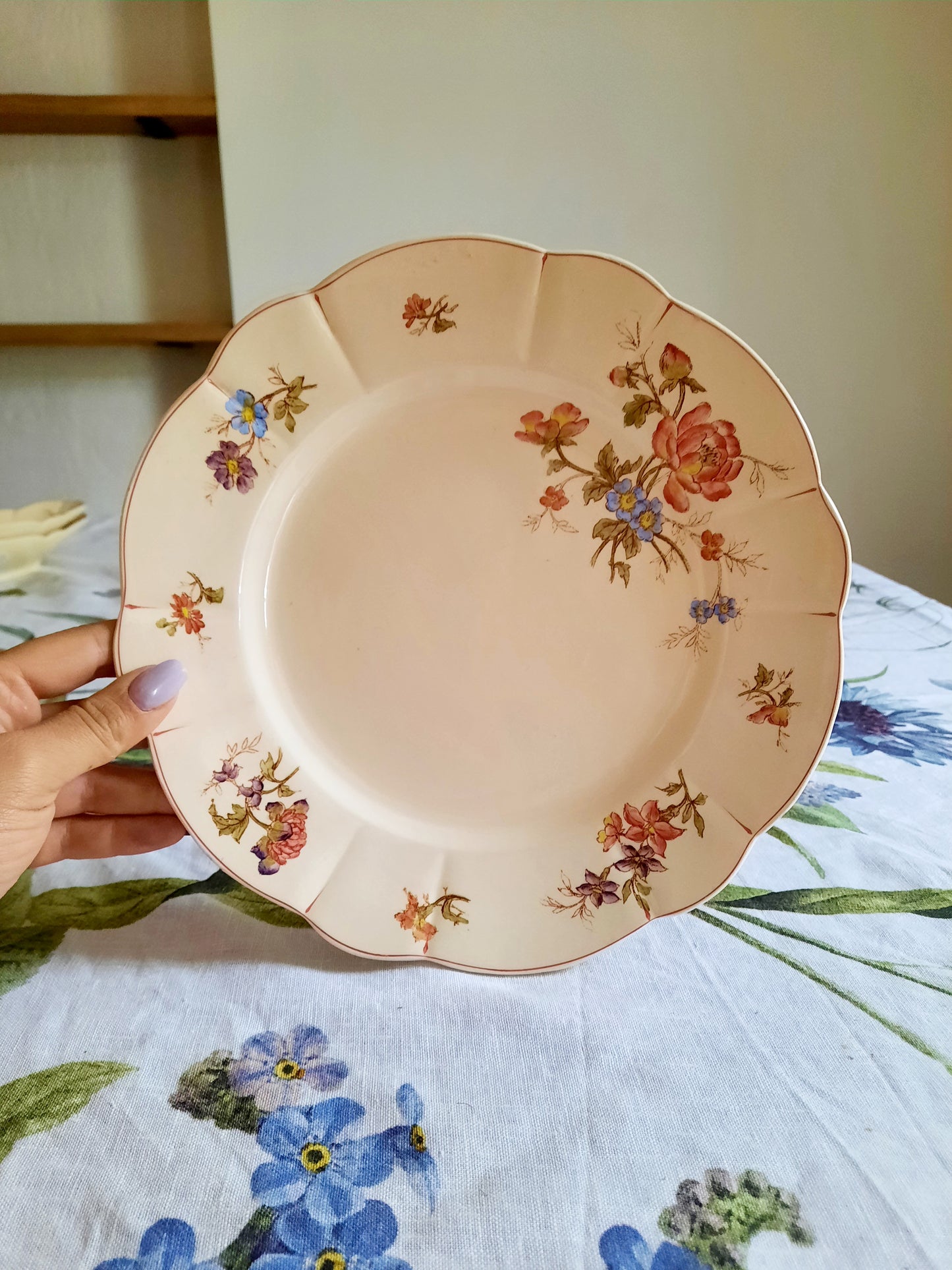 Lot de 6 assiettes plates Longchamp (1)