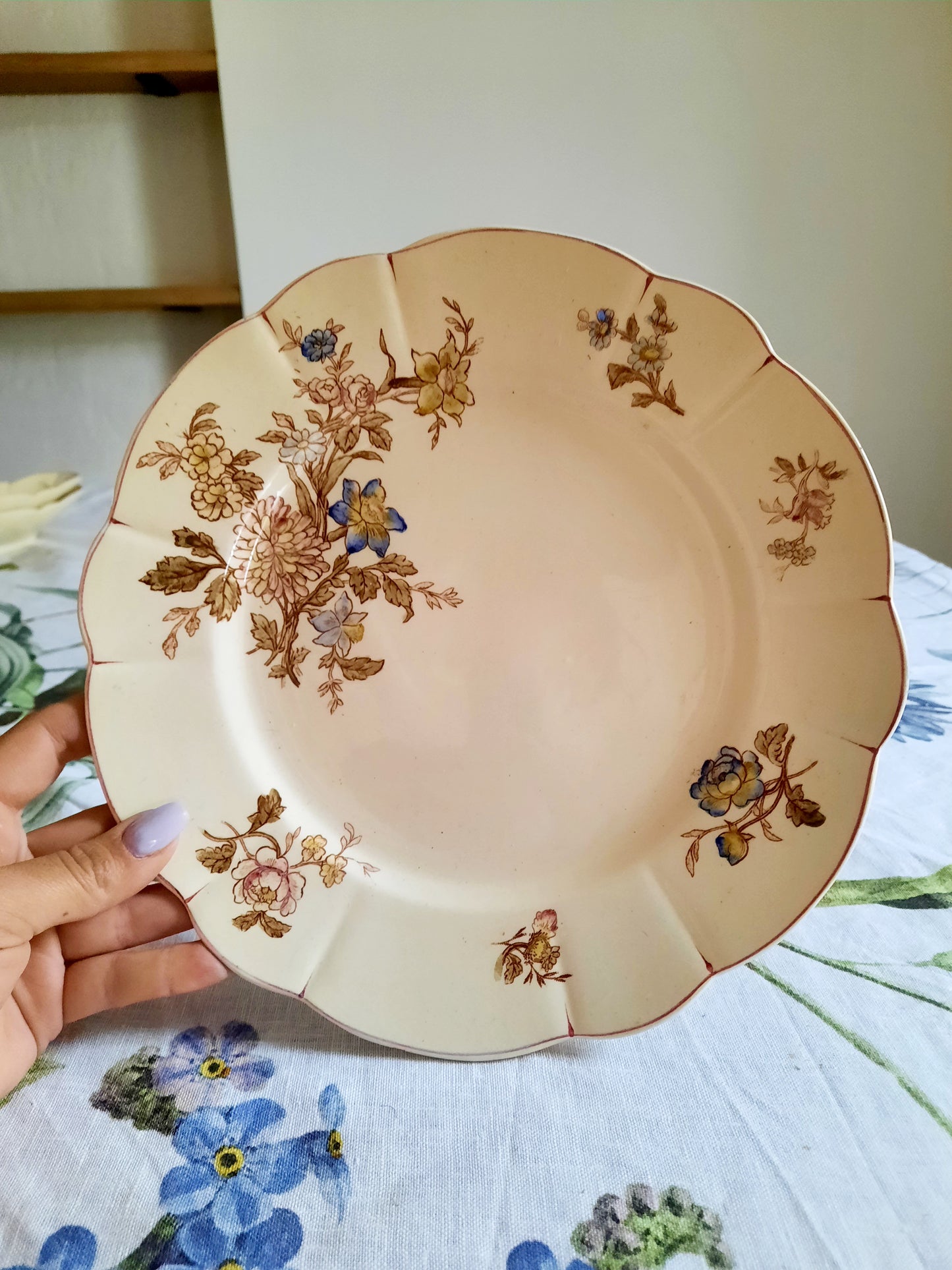 Lot de 6 assiettes plates Longchamp (1)