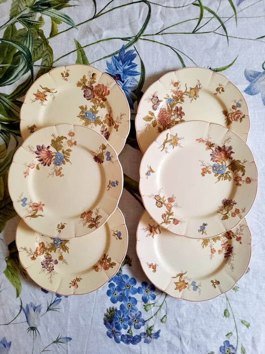 Lot de 6 assiettes à dessert Longchamp (2)