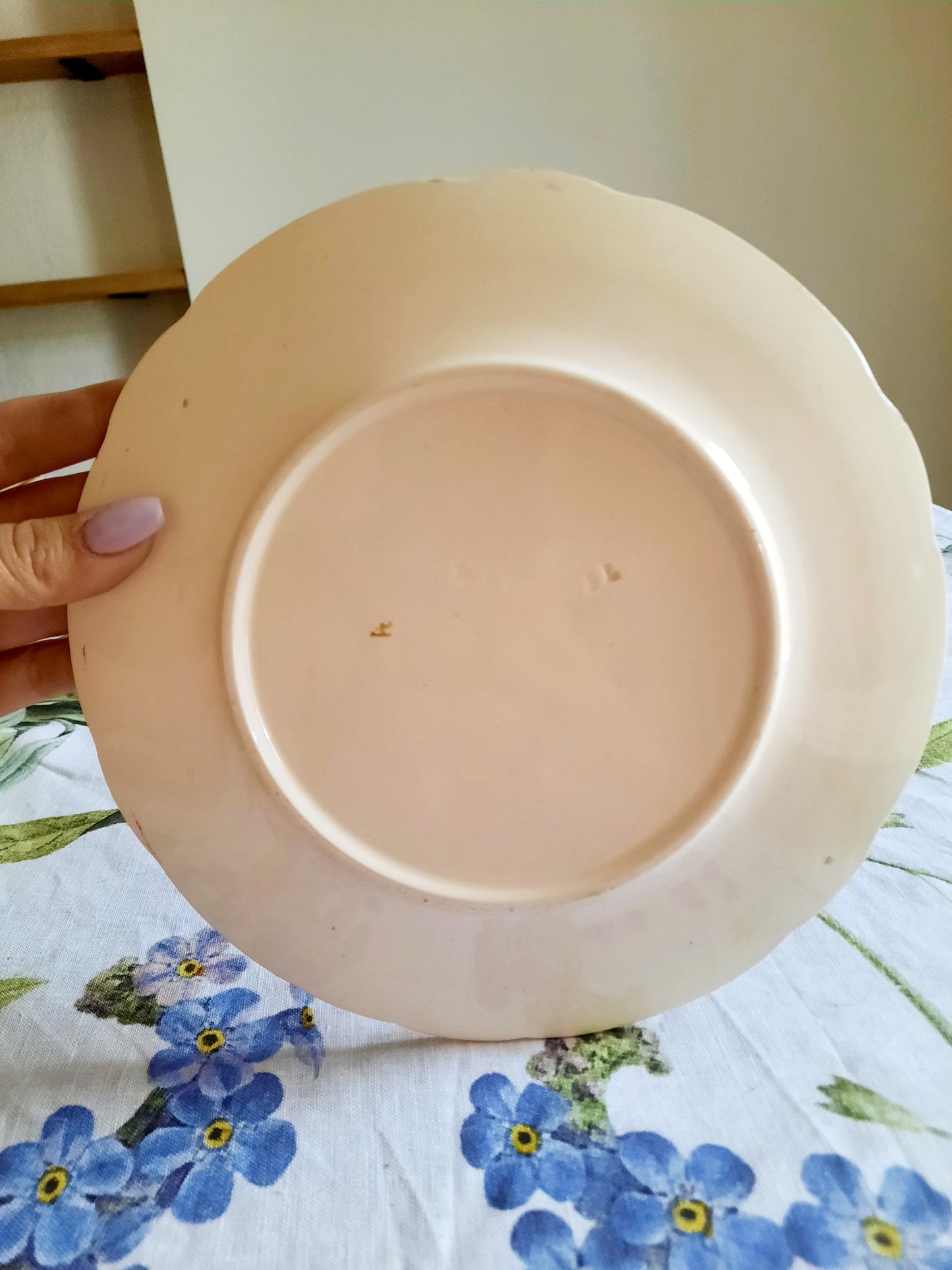Lot de 6 assiettes à dessert Longchamp (2)