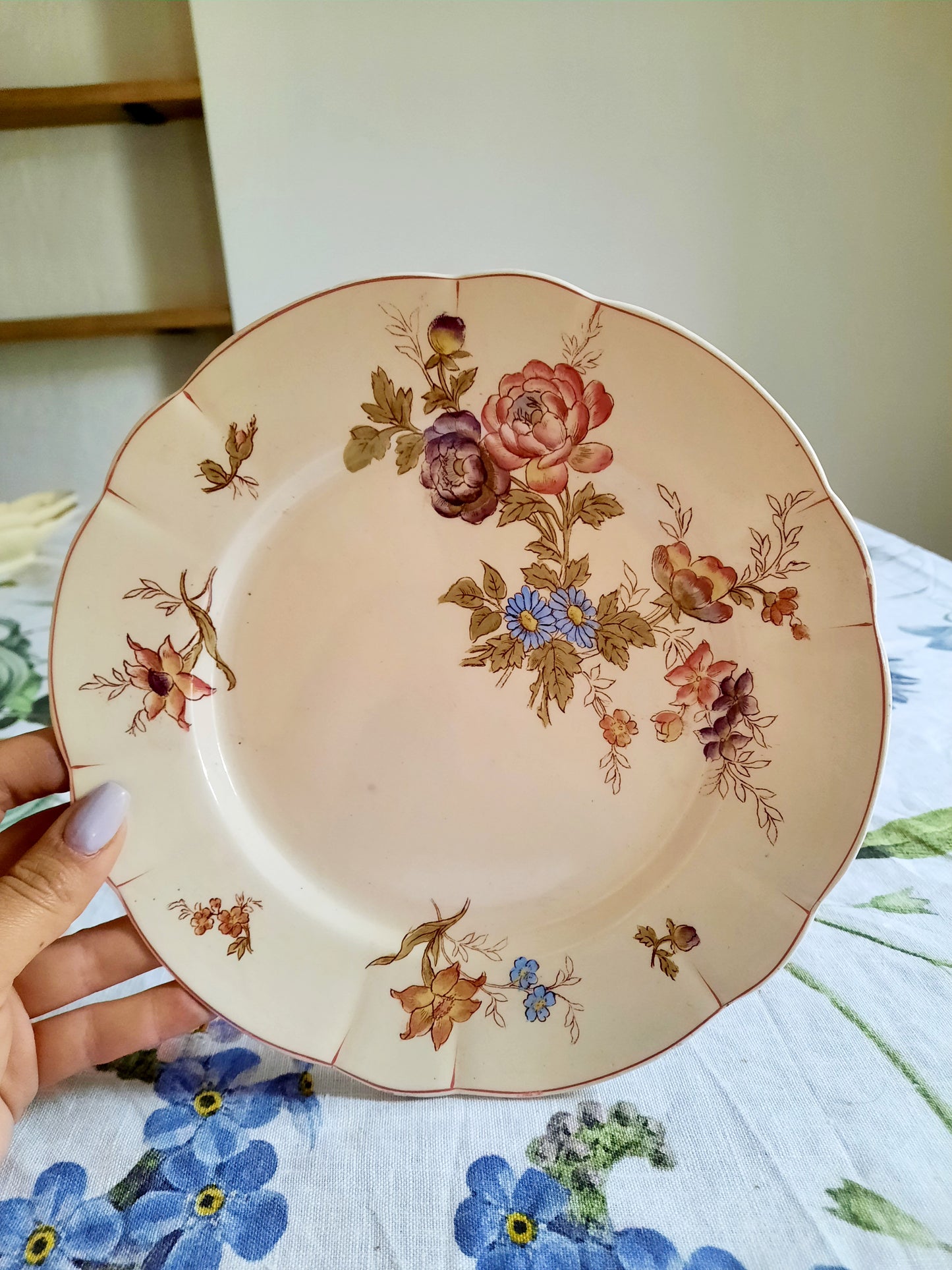 Lot de 6 assiettes à dessert Longchamp (2)