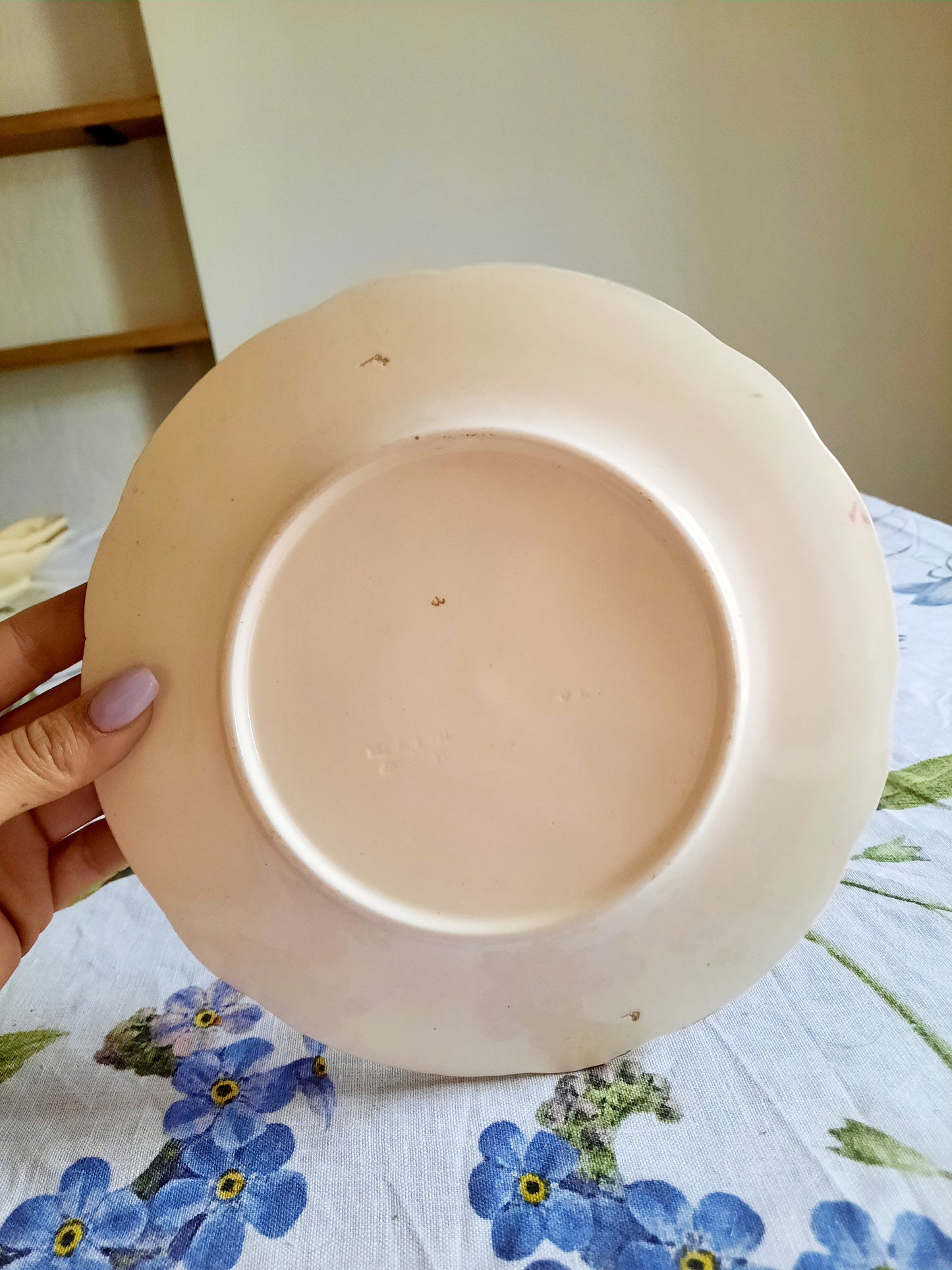 Lot de 6 assiettes à dessert Longchamp (2)