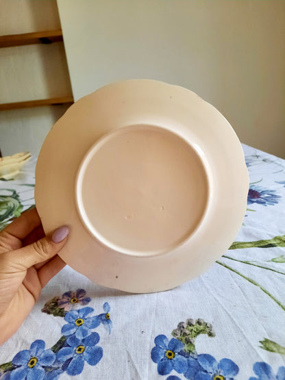 Lot de 6 assiettes à dessert Longchamp (2)