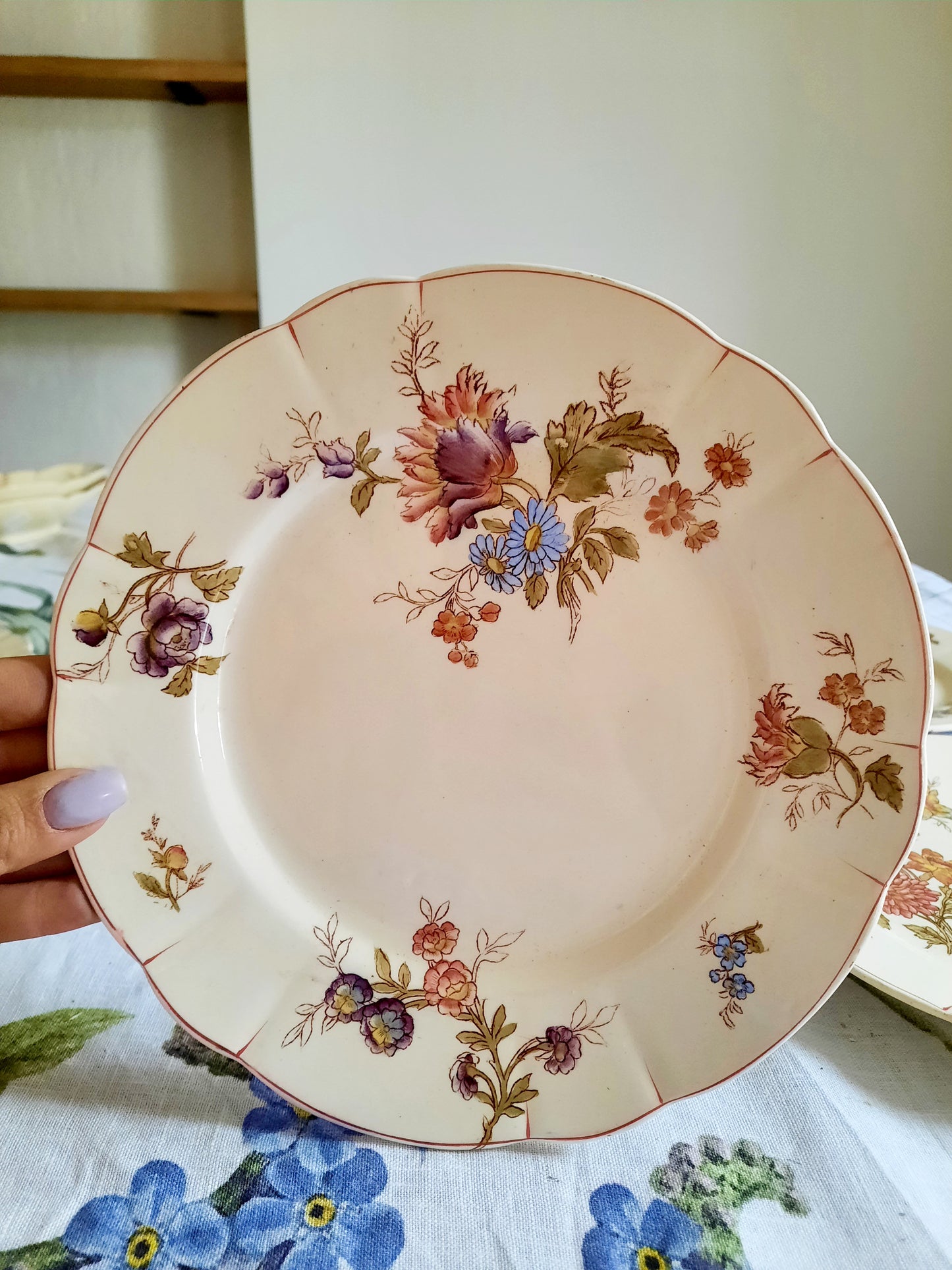 Lot de 6 assiettes à dessert Longchamp (1)