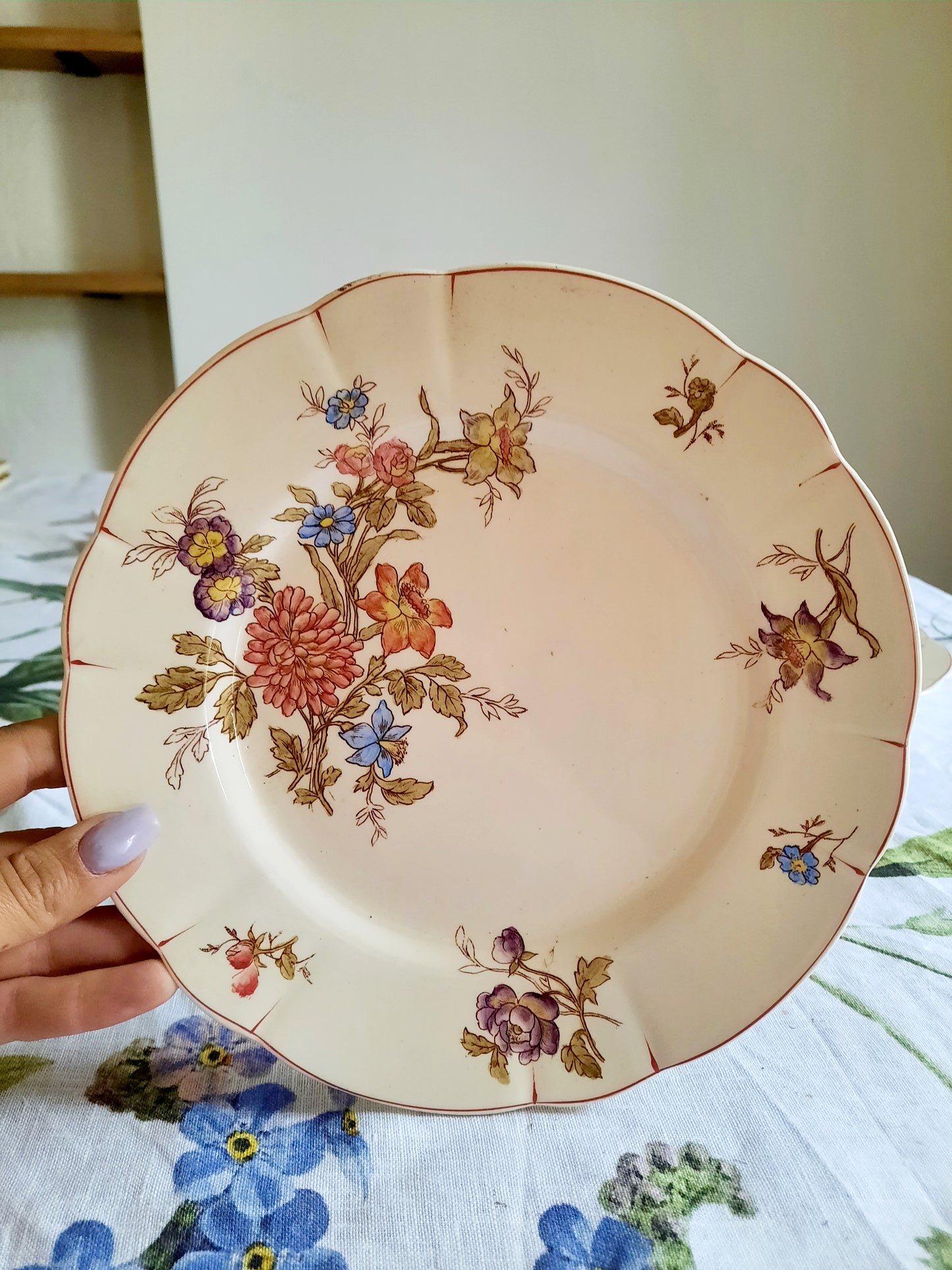 Lot de 6 assiettes à dessert Longchamp (1)