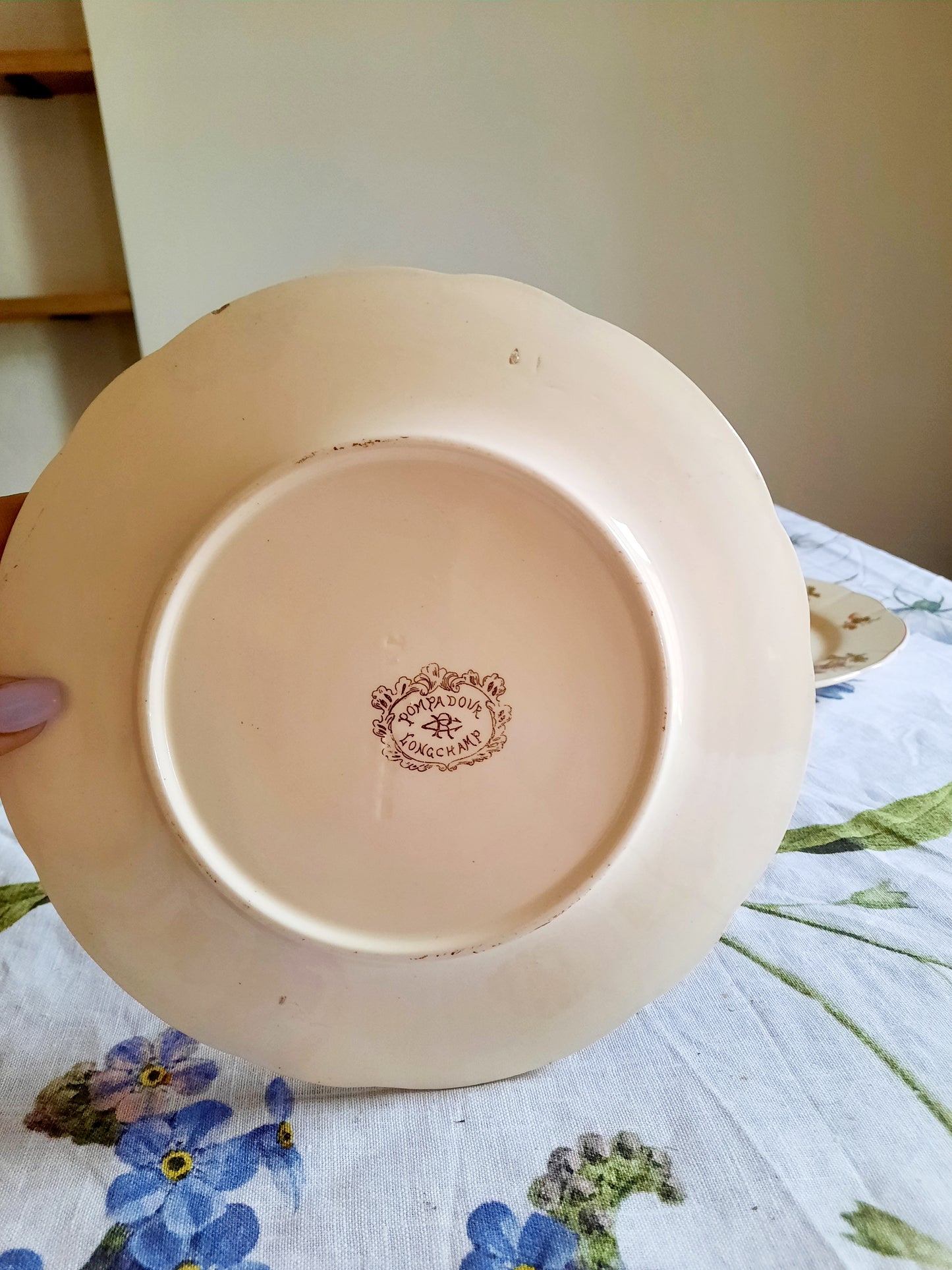 Lot de 6 assiettes à dessert Longchamp (1)