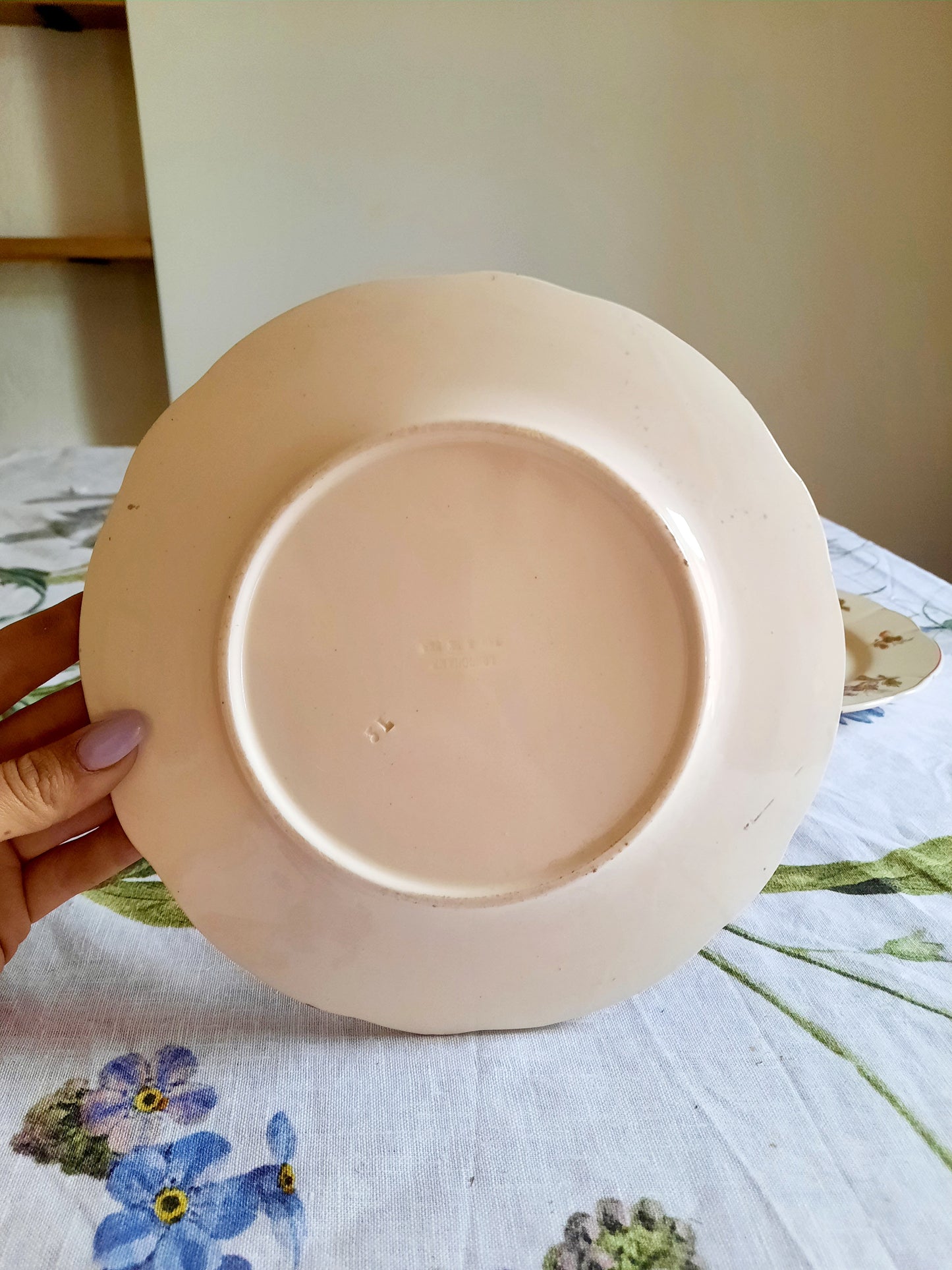 Lot de 6 assiettes à dessert Longchamp (2)