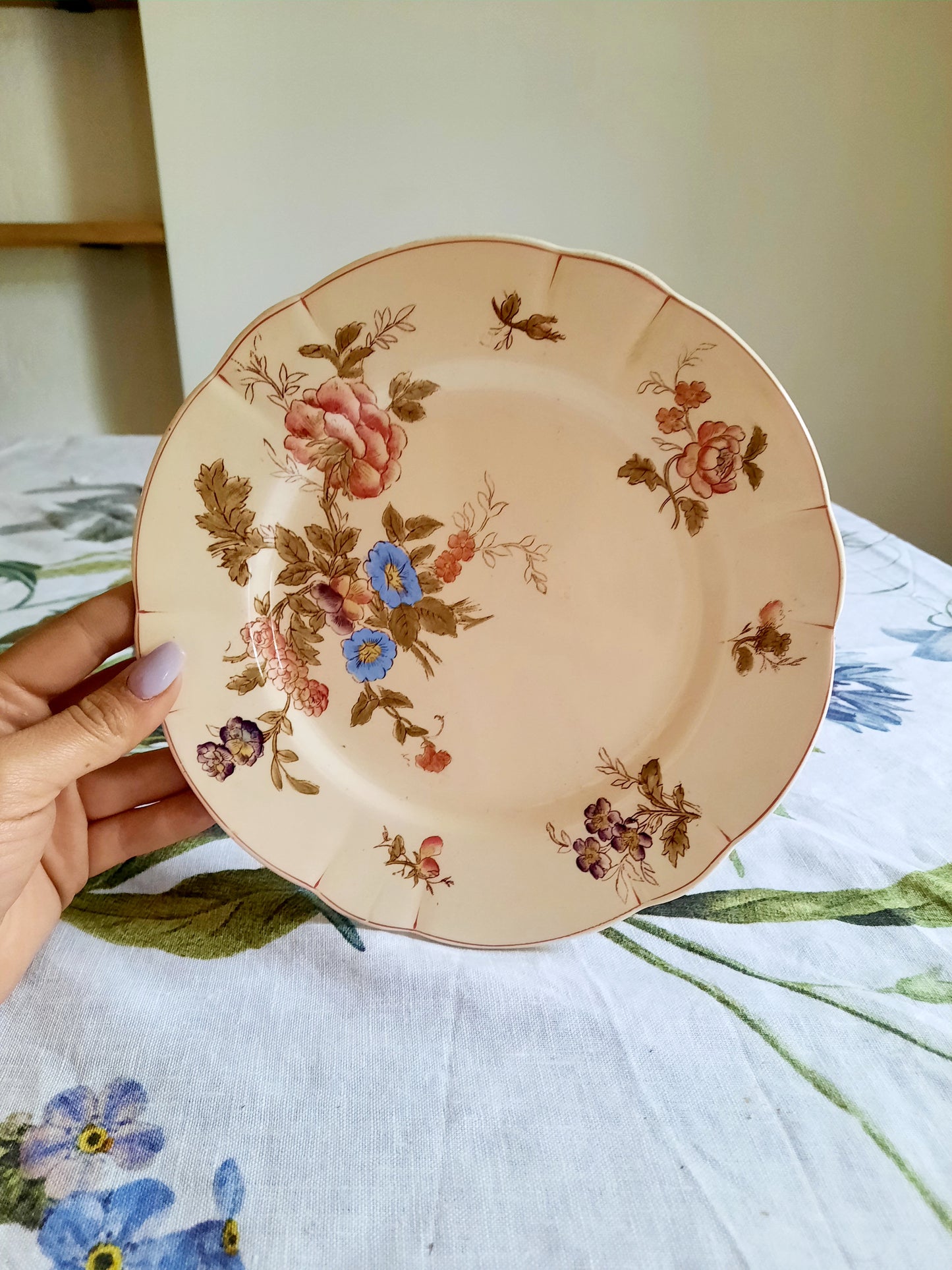 Lot de 6 assiettes à dessert Longchamp (2)
