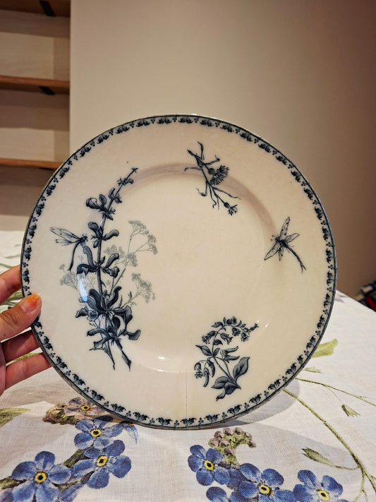Assiette Carmen