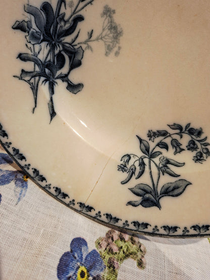 Assiette Carmen