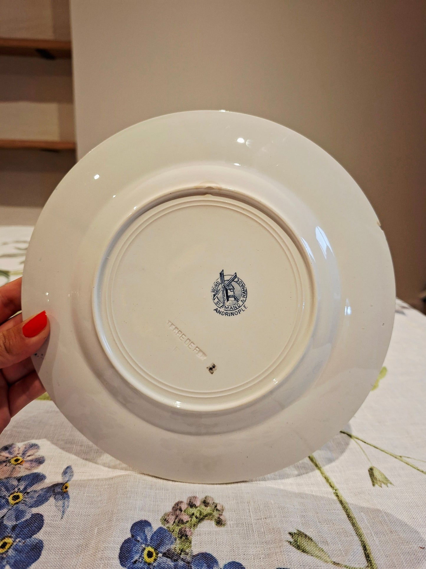 Lot de 5 assiettes plates St Amand & Hamage