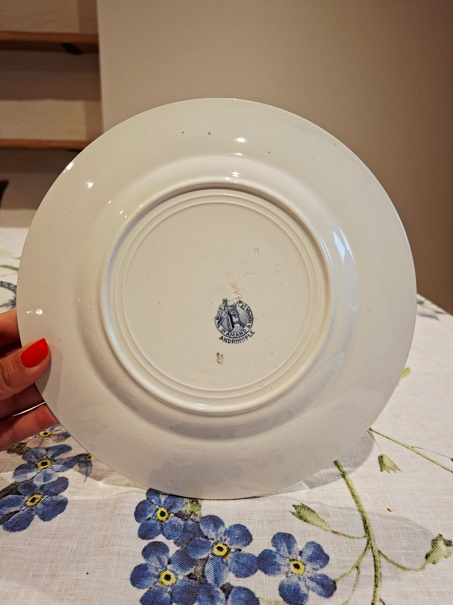Lot de 5 assiettes plates St Amand & Hamage