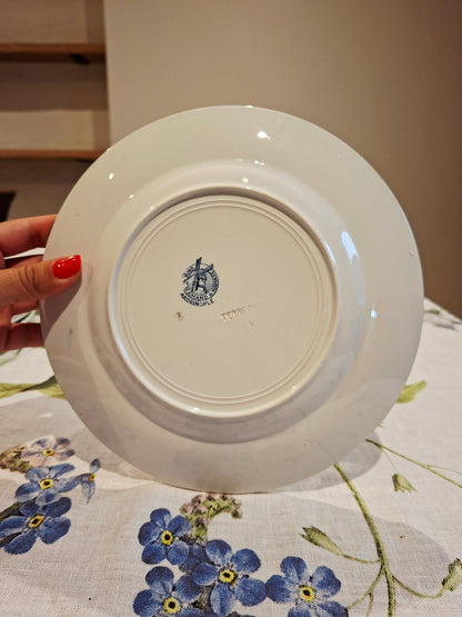 Lot de 5 assiettes plates St Amand & Hamage
