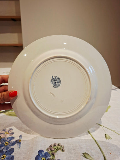 Lot de 5 assiettes plates St Amand & Hamage