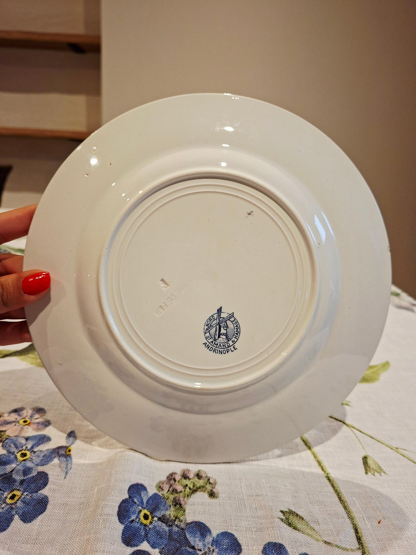 Lot de 5 assiettes plates St Amand & Hamage