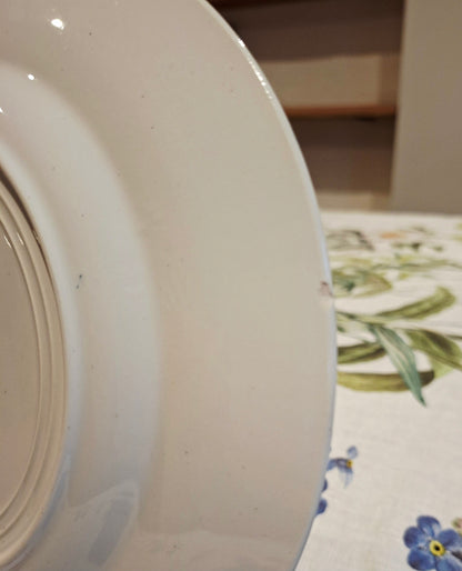 Lot de 5 assiettes plates St Amand & Hamage